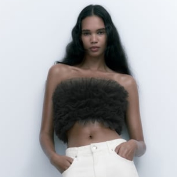 NWOT Zara Tulle Crop Top - Picture 2 of 5